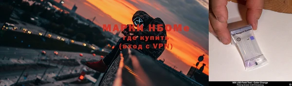Альфа ПВП Ладушкин