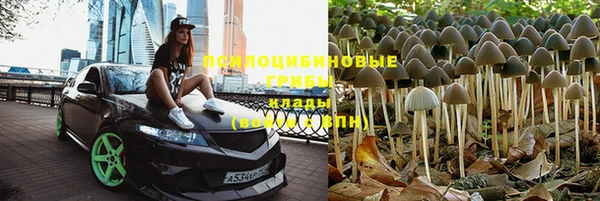 кокс Лагань