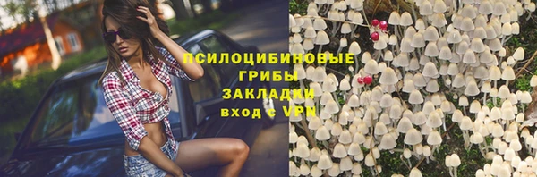 бошки Лабытнанги
