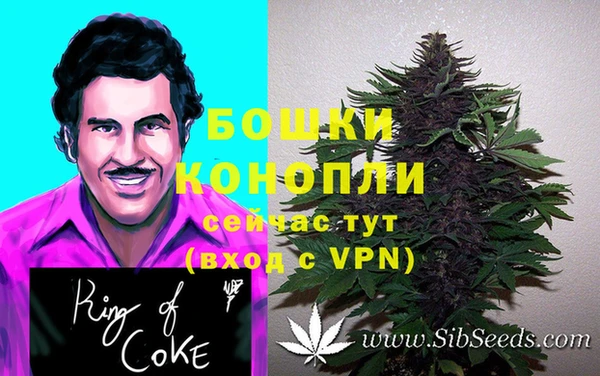 бошки Лабытнанги
