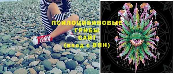 бошки Лабытнанги