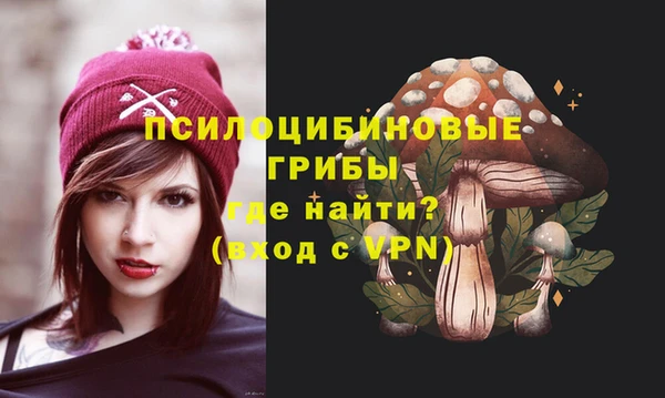 Альфа ПВП Ладушкин