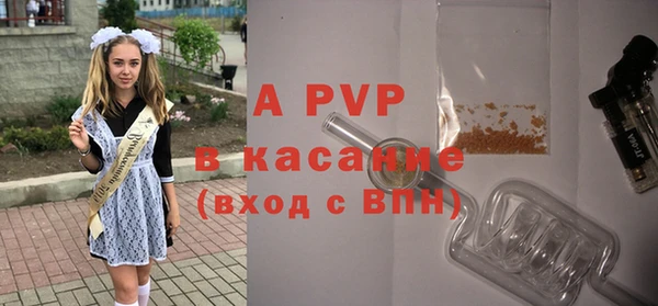 Альфа ПВП Ладушкин