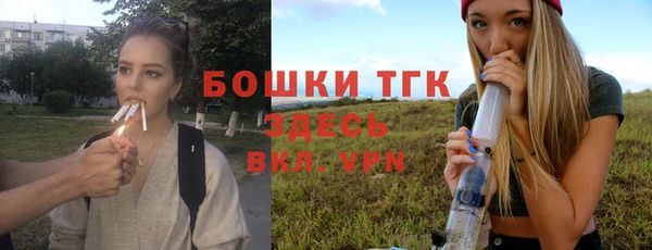 бошки Лабытнанги