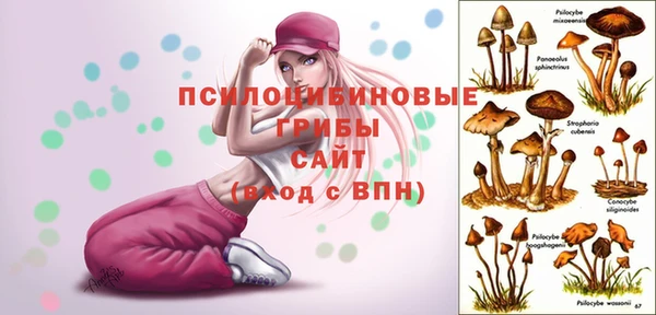 кокс Лагань