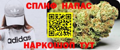 PSILOCYBIN Бугуруслан