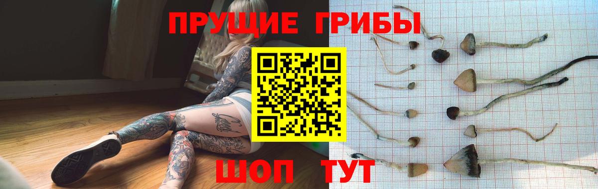 Псилоцибиновые грибы GOLDEN TEACHER Холмск