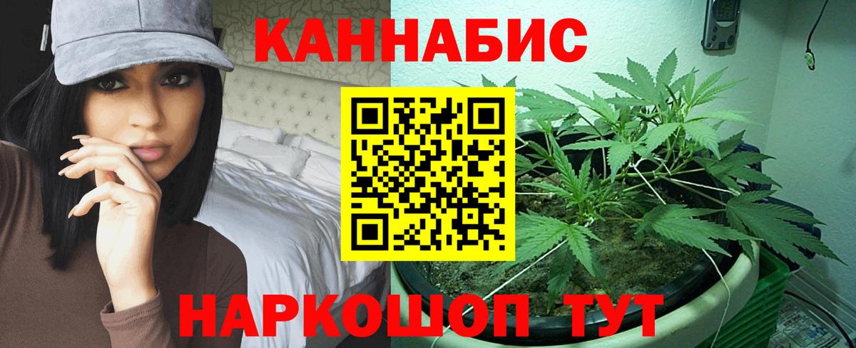 Бошки марихуана Amnesia Холмск